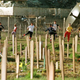 Image for article titled What Happens When Your Olympic Site Turns Into a War Zone